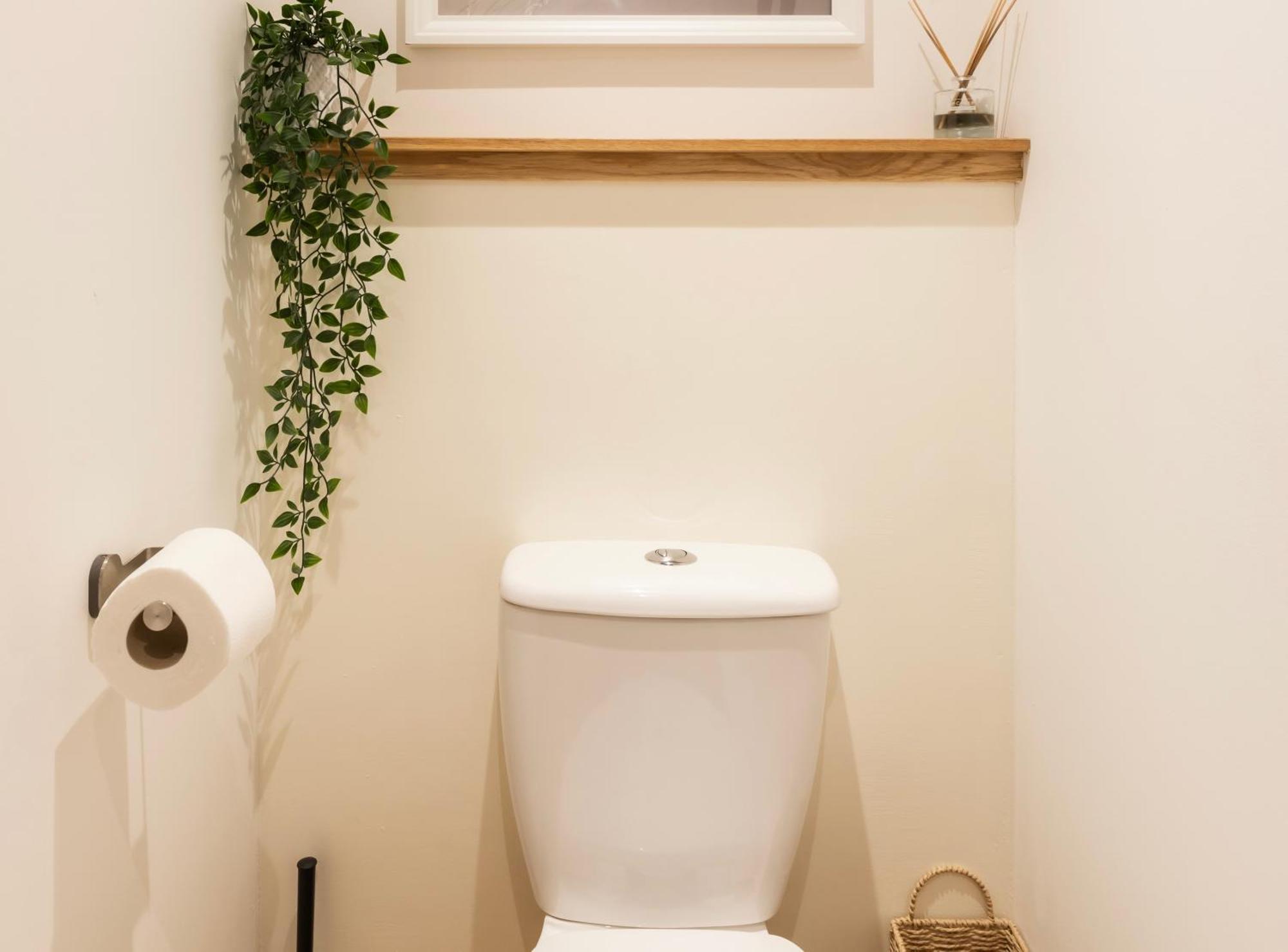 Tucked Away - Seaside Home In Anstruther Sleeps 6 ภายนอก รูปภาพ